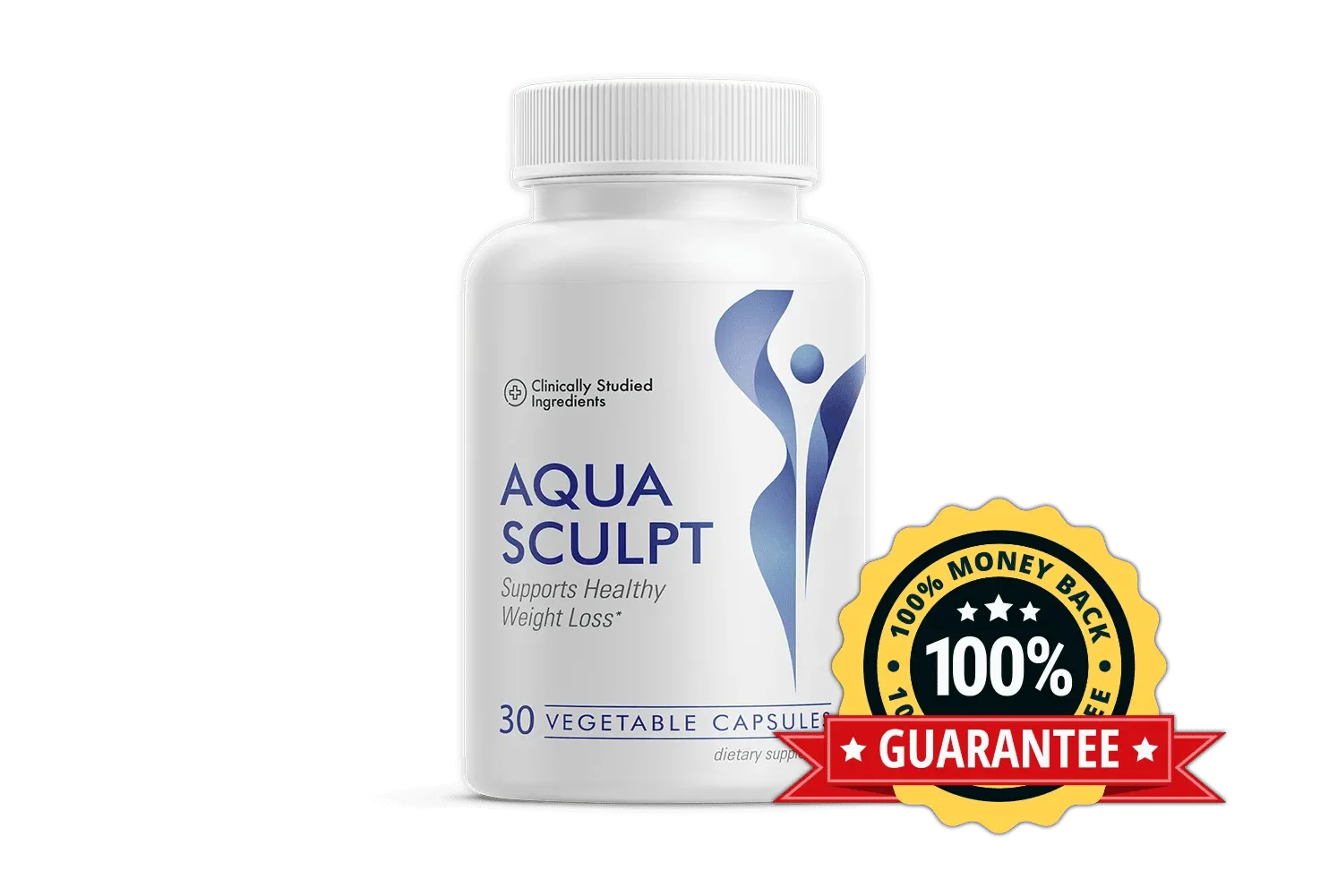 AquaSculpt-ice-water-hack
